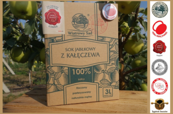 Sok jabłkowy z Kałęczewa 3l